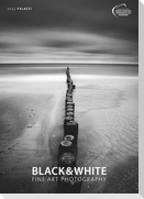 PALAZZI - Black & White 2025 Wandkalender, 50x70cm, Posterkalender mit zwölf Bildtafeln in höchster Wiedergabequalität, feinste Auflösung, von führenden Fine-Art-Fotografen, int. Kalendarium