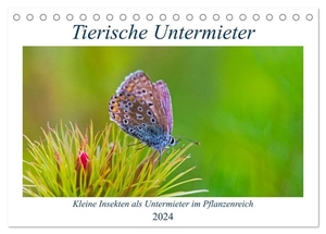 Stenner, Clemens. Tierische Untermieter (Tischkalender 2024 DIN A5 quer), CALVENDO Monatskalender - Insekten als Untermieter im Pflanzenreich. Calvendo, 2023.