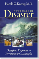 In the Wake of Disaster