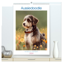Aussiedoodle - Hunde zum Liebhaben (hochwertiger Premium Wandkalender 2024 DIN A2 hoch), Kunstdruck in Hochglanz