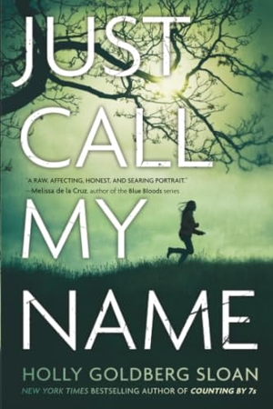Goldberg Sloan, Holly. Just Call My Name. Hachette Book Group, 2016.
