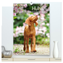 Hundepersönlichkeiten (hochwertiger Premium Wandkalender 2024 DIN A2 hoch), Kunstdruck in Hochglanz