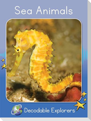 Sea Animals