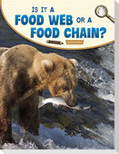 Is It a Food Web or a Food Chain?