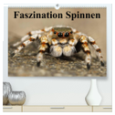 Faszination Spinnen (hochwertiger Premium Wandkalender 2024 DIN A2 quer), Kunstdruck in Hochglanz