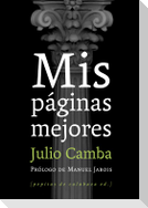 Mis páginas mejores