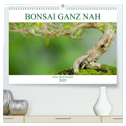 Bonsai ganz nah (hochwertiger Premium Wandkalender 2025 DIN A2 quer), Kunstdruck in Hochglanz