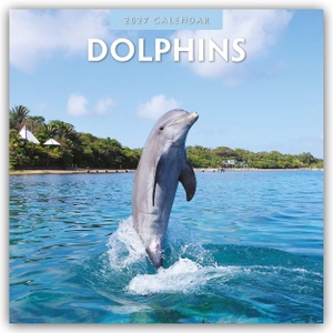 Red, Robin. Dolphins - Delfine 2027 - 16-Monatskalender - Original Red Robin Publishing Ltd-Kalender [Mehrsprachig] [Kalender]. Browntrout Verlags GmbH, 2026.