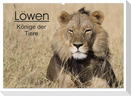 Löwen - Könige der Tiere (Wandkalender 2024 DIN A2 quer), CALVENDO Monatskalender