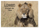 Löwen - Könige der Tiere (Wandkalender 2025 DIN A2 quer), CALVENDO Monatskalender