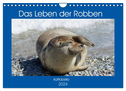 Das Leben der Robben (Wandkalender 2024 DIN A4 quer), CALVENDO Monatskalender
