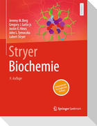 Stryer Biochemie