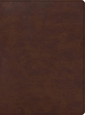 Mcdowell, Sean / Csb Bibles By Holman. CSB Apologetics Study Bible for Students, Brown Leathertouch. B&H Publishing Group, 2022.