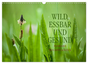 WILD, ESSBAR UND GESUND Essbare Wildpflanzen (Wandkalender 2024 DIN A3 quer), CALVENDO Monatskalender