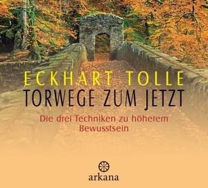 Tolle, Eckhart. Torwege zum Jetzt. CD - Die drei Techniken zu höherem Bewusstsein. ARKANA Verlag, 2003.
