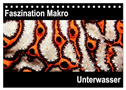 Faszination Makro Unterwasser (Tischkalender 2025 DIN A5 quer), CALVENDO Monatskalender