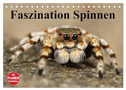 Faszination Spinnen (Tischkalender 2025 DIN A5 quer), CALVENDO Monatskalender