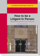 A Straightforward Guide to How to be a Litigant in Person