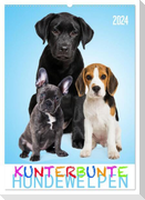 Kunterbunte Hundewelpen (Wandkalender 2024 DIN A2 hoch), CALVENDO Monatskalender