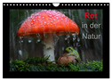 Rot in der Natur (Wandkalender 2024 DIN A4 quer), CALVENDO Monatskalender