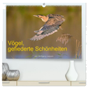 Vögel, Gefiederte Schönheiten (hochwertiger Premium Wandkalender 2024 DIN A2 quer), Kunstdruck in Hochglanz