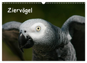 Ziervögel (Wandkalender 2024 DIN A3 quer), CALVENDO Monatskalender