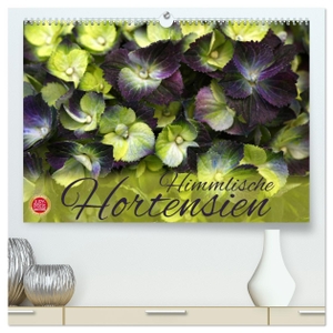 Cross, Martina. Himmlische Hortensien (hochwertiger Premium Wandkalender 2025 DIN A2 quer), Kunstdruck in Hochglanz - 12 wunderbare Hortensien Portraits. Calvendo, 2024.