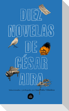 Diez Novelas de César Aira / Ten Novels by Cesar Aira