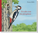 Un año con los picapinos