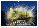 Raupen - Skurrile Verwandlungskünstler (Wandkalender 2024 DIN A3 quer), CALVENDO Monatskalender