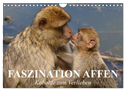 Faszination Affen. Kobolde zum Verlieben (Wandkalender 2024 DIN A4 quer), CALVENDO Monatskalender