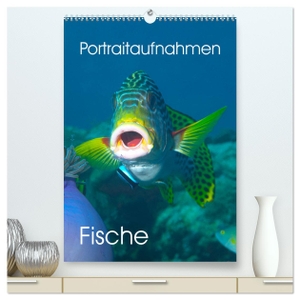 Niemann, Ute. Portraitaufnahmen - Fische (hochwertiger Premium Wandkalender 2024 DIN A2 hoch), Kunstdruck in Hochglanz - Im Profil - als Portrait - Meeresfische. Calvendo, 2023.