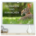 Feldhasen und Kaninchen (hochwertiger Premium Wandkalender 2024 DIN A2 quer), Kunstdruck in Hochglanz