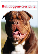 Bulldoggen-Gesichter (Wandkalender 2024 DIN A2 hoch), CALVENDO Monatskalender