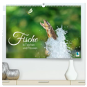 Fische in Teichen und Flüssen (hochwertiger Premium Wandkalender 2025 DIN A2 quer), Kunstdruck in Hochglanz