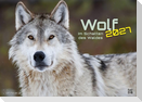 Wolf - Im Schatten des Waldes - 2027 - Kalender DIN A2