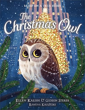 Sterer, Gideon / Ellen Kalish. The Christmas Owl. Andersen Press, 2022.