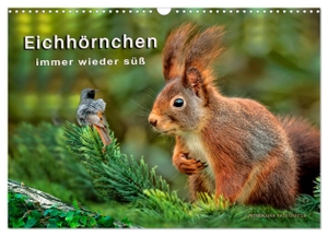 Roder, Peter. Eichhörnchen - immer wieder süß (Wandkalender 2024 DIN A3 quer), CALVENDO Monatskalender - Eichhörnchen - flinke kleine Kobolde in Wald und Park.. Calvendo, 2023.