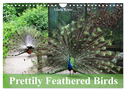Prettily Feathered Birds (Wall Calendar 2024 DIN A4 landscape), CALVENDO 12 Month Wall Calendar