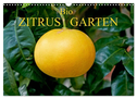 Bio Zitrus Garten (Wandkalender 2024 DIN A3 quer), CALVENDO Monatskalender