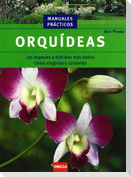 Orquídeas