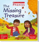 The Missing Treasure (Set 13)