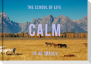 Calm in 40 Images