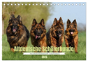 Altdeutsche Schäferhunde - Traumhafte Schäferhunde Langstockhaar (Tischkalender 2025 DIN A5 quer), CALVENDO Monatskalender