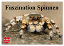 Faszination Spinnen (Wandkalender 2025 DIN A2 quer), CALVENDO Monatskalender