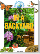 In a Backyard