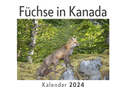 Füchse in Kanada (Wandkalender 2024, Kalender DIN A4 quer, Monatskalender im Querformat mit Kalendarium, Das perfekte Geschenk)