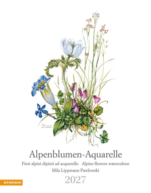 Athesia-Tappeiner Verlag (Hrsg.). Alpenblumen-Aquarelle Kalender 2027 - Fiori alpini dipinti ad acquerello - Alpine flowers watercolour. Athesia Tappeiner Kal., 2026.