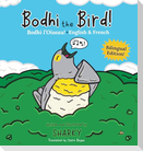 Bodhi the Bird! / Bodhi l'Oiseau!