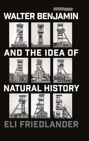 Friedlander, Eli. Walter Benjamin and the Idea of Natural History. Stanford University Press, 2024.